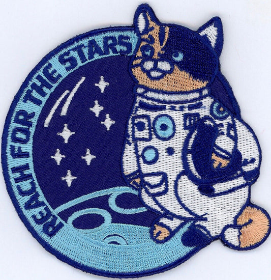ASTRONAUT CAT NASA SPACE X REACH FOR THE STARS